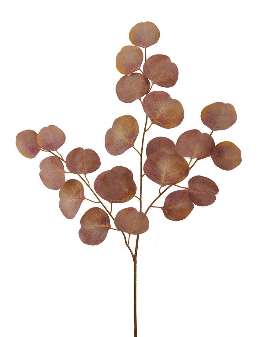 Red Eucalyptus Spray